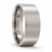 brushed titanium ring
