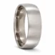 titanium ring